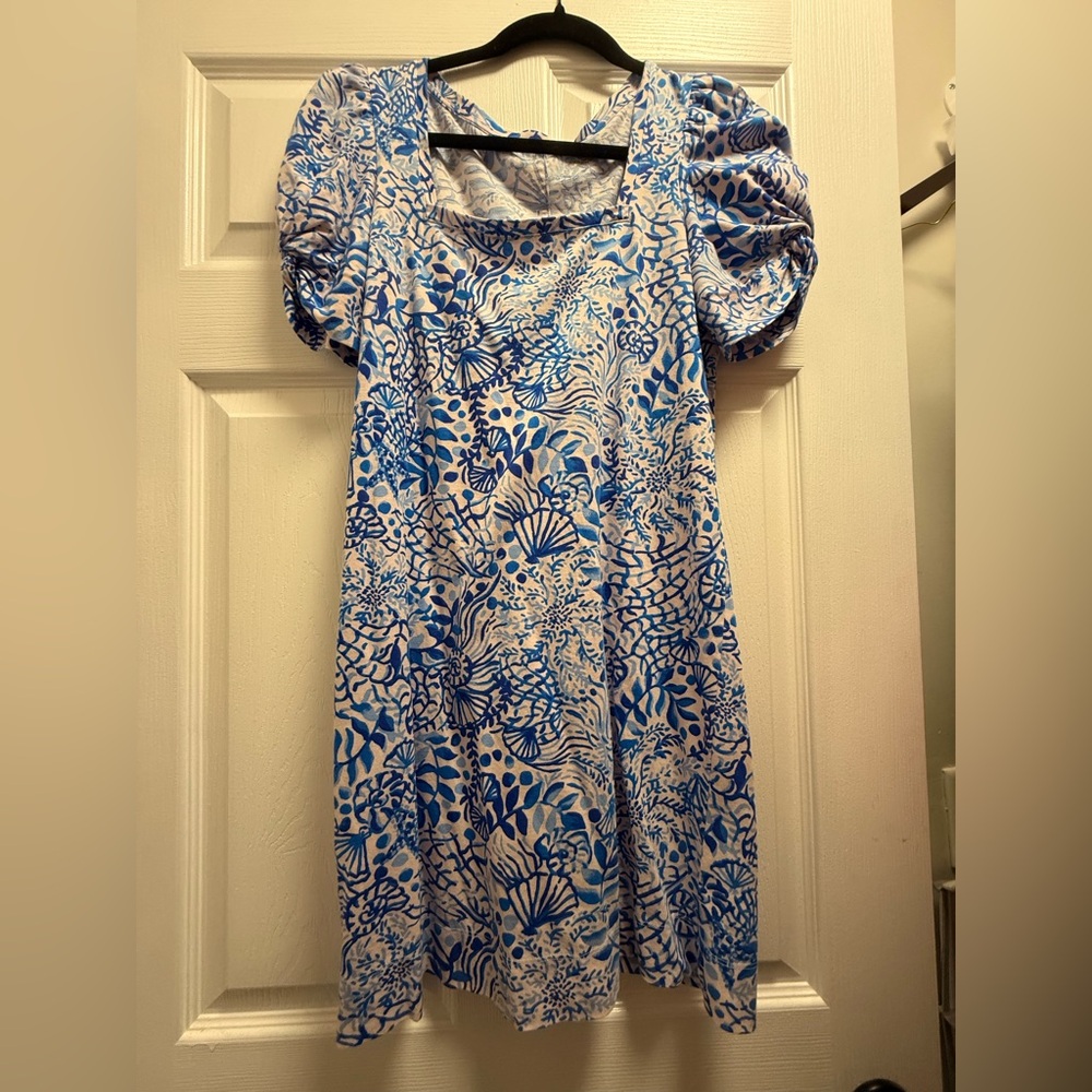 Lilly Pulitzer Blue and White Floral Dress